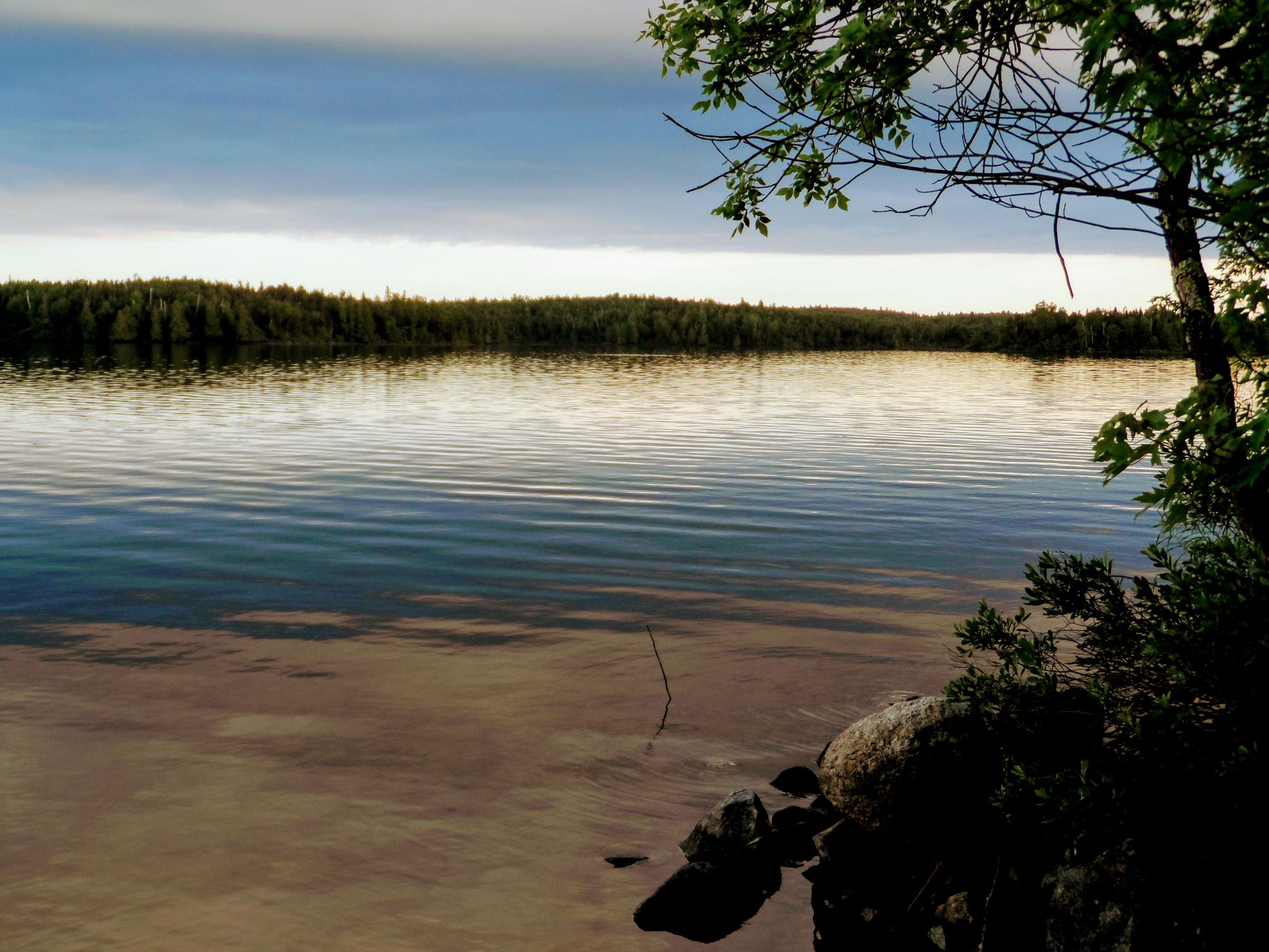 Calm lake scene with reflections and trees in Ely, MN.
