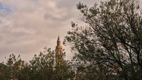 Fotobanka s bezplatnými fotkami na tému historický, mešita, minaret