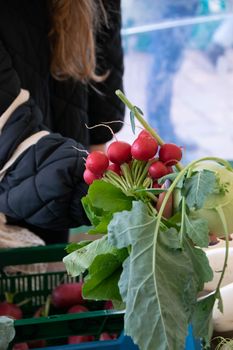 A woman holding fresh radishes at a Berlin market stall, showcasing organic produce.