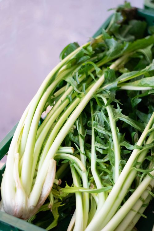 Free Close-up of fresh, organic leafy vegetables in a green basket, showcasing their vibrant natural colors. Stock Photo