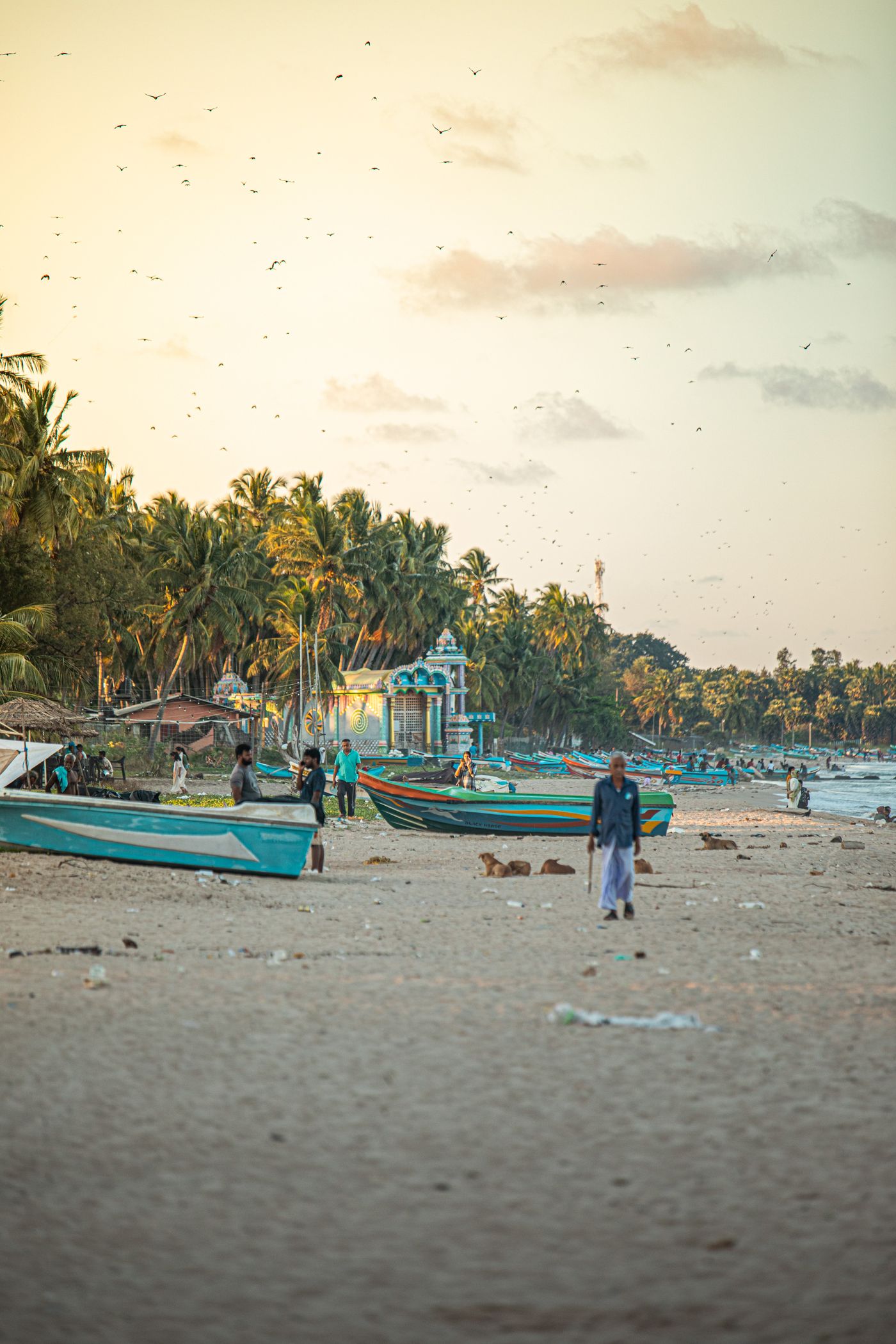 Village Experiences