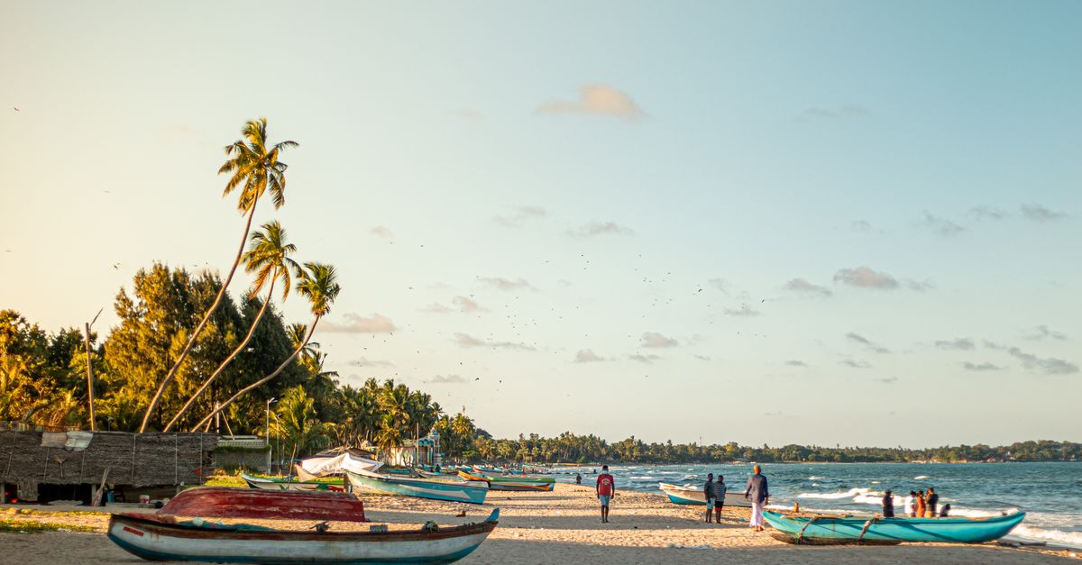 Peaceful beach scene in Trincomalee, Sri Lanka with fishing boats and palm trees at sunset.