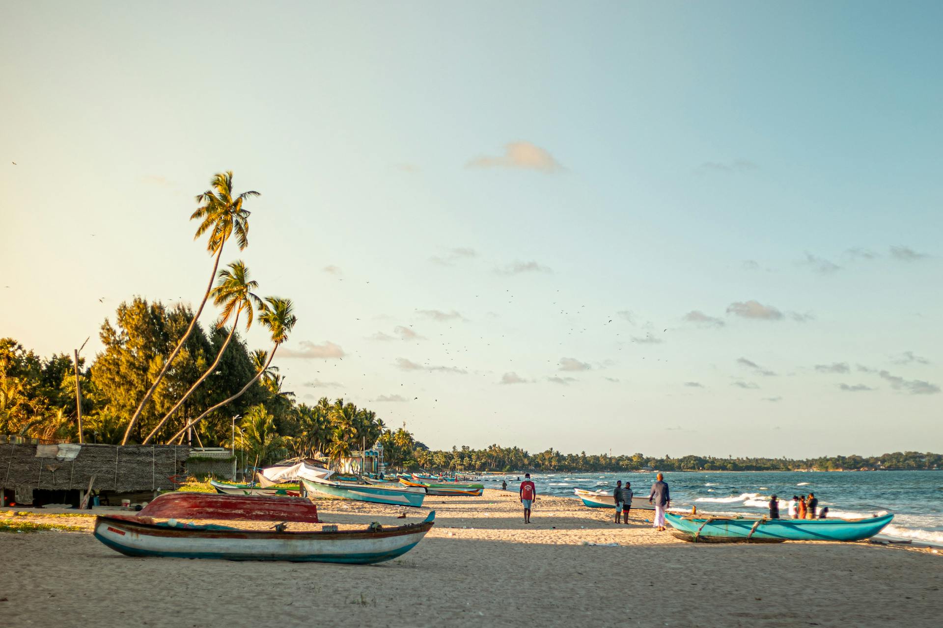 Peaceful beach scene in Trincomalee, Sri Lanka with fishing boats and palm trees at sunset.