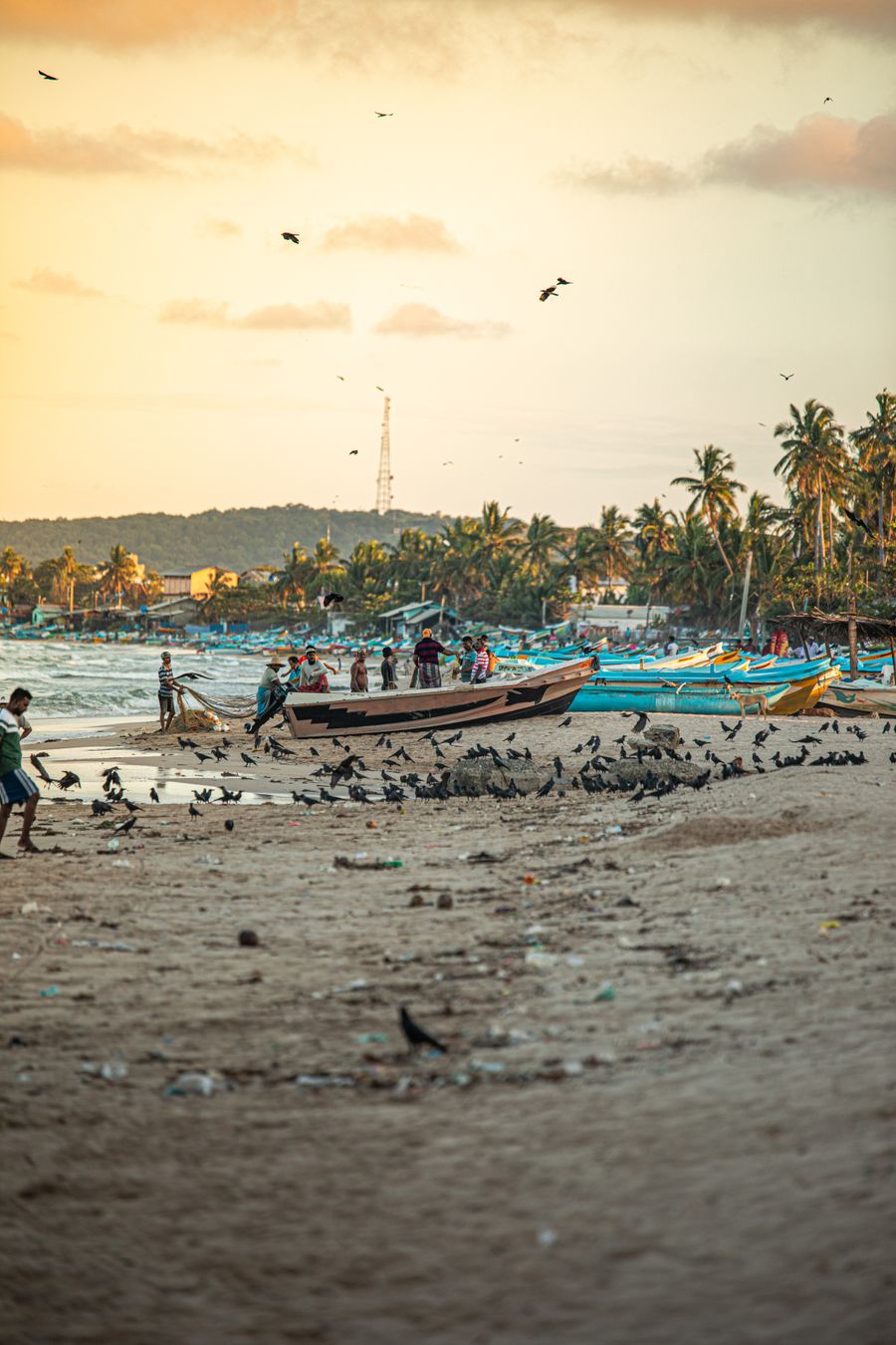 Bar Reef and Island Hopping