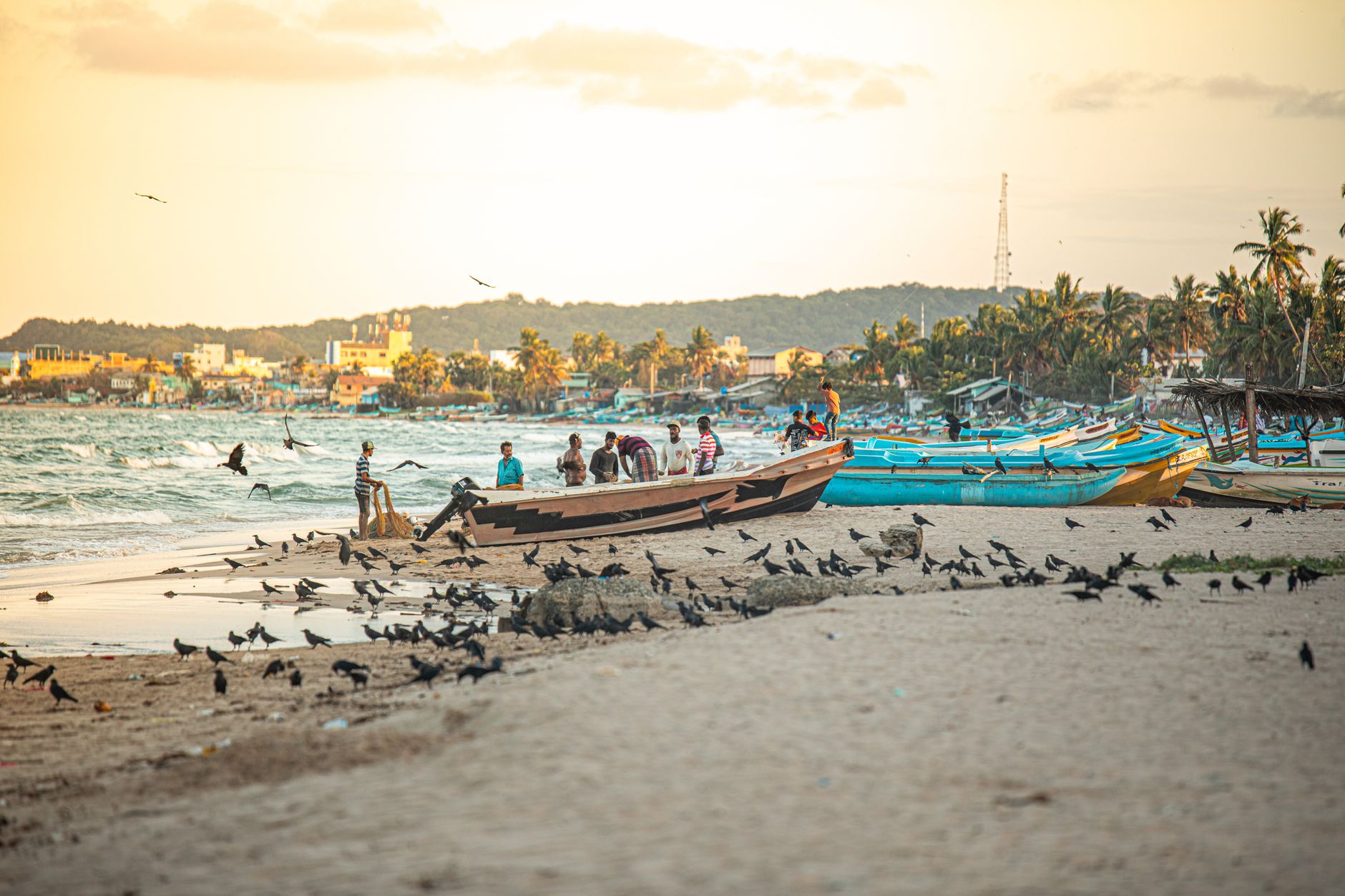 Trincomalee vs Arugam Bay: Which Suits Your Trip?