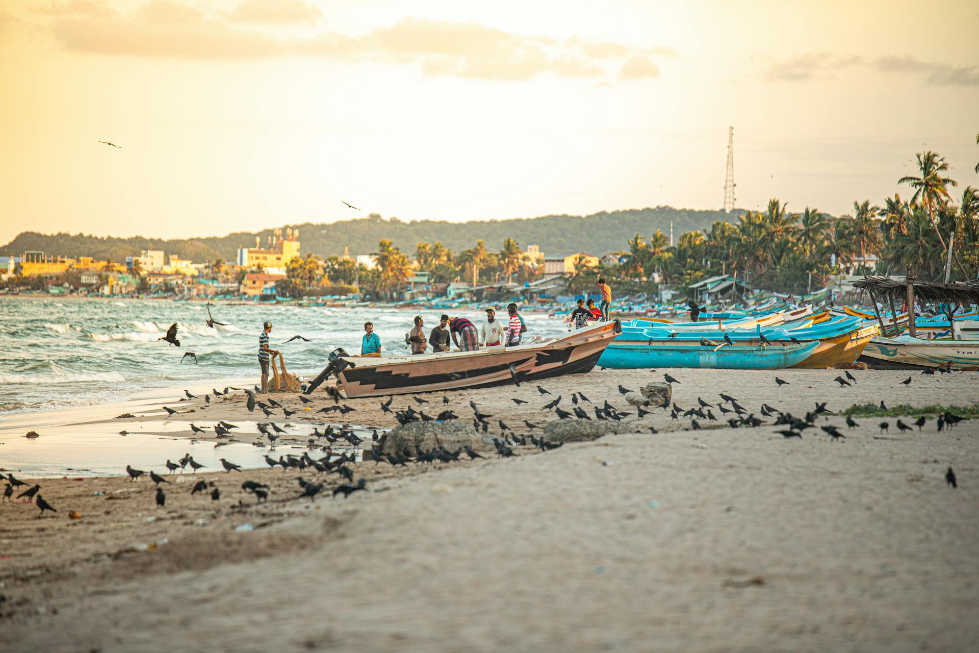 A vibrant scene of fishermen and boats on Trincomalee Beach with a flock of birds against a sunset backdrop.