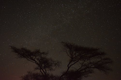 별, 별밤, 별자리의 무료 스톡 사진