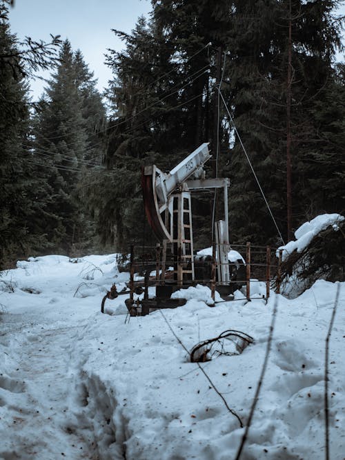 Ilmainen kuvapankkikuva tunnisteilla flunssa, jäätynyt, lumen peitossa