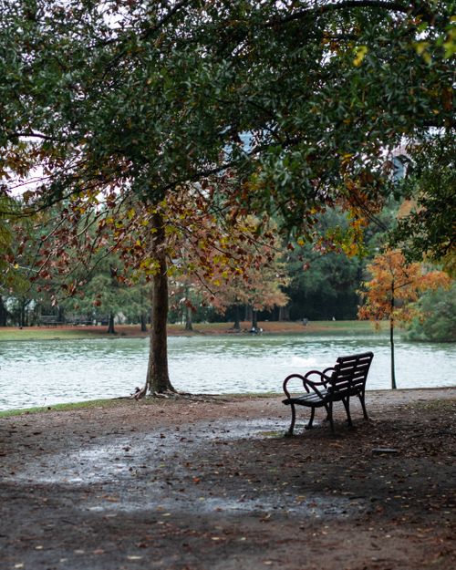 Free Empty bench overlooking a peaceful park lake with autumn foliage in Houston, TX. Stock Photo