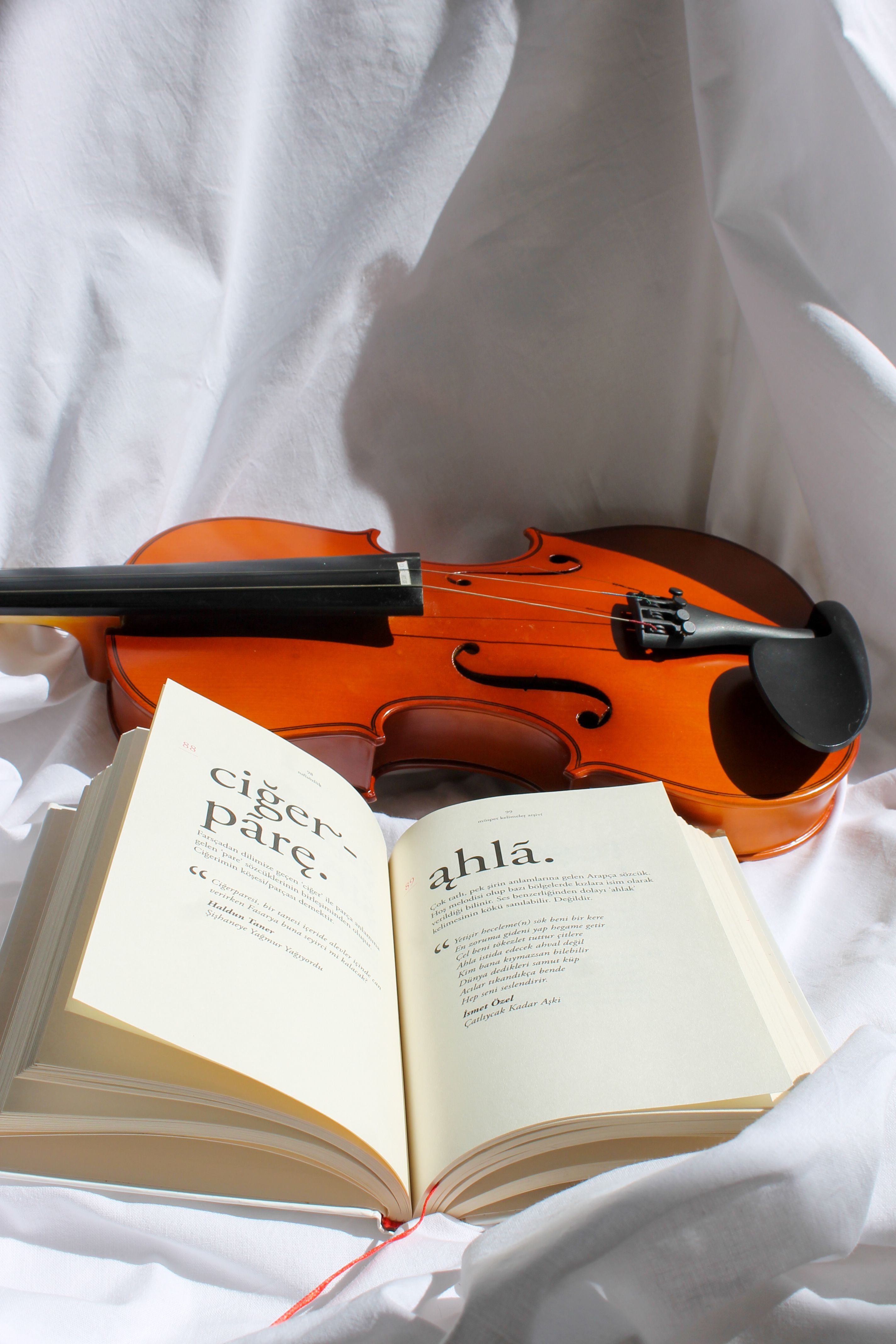 A violin and an open book on white cloth, symbolizing music and literature.