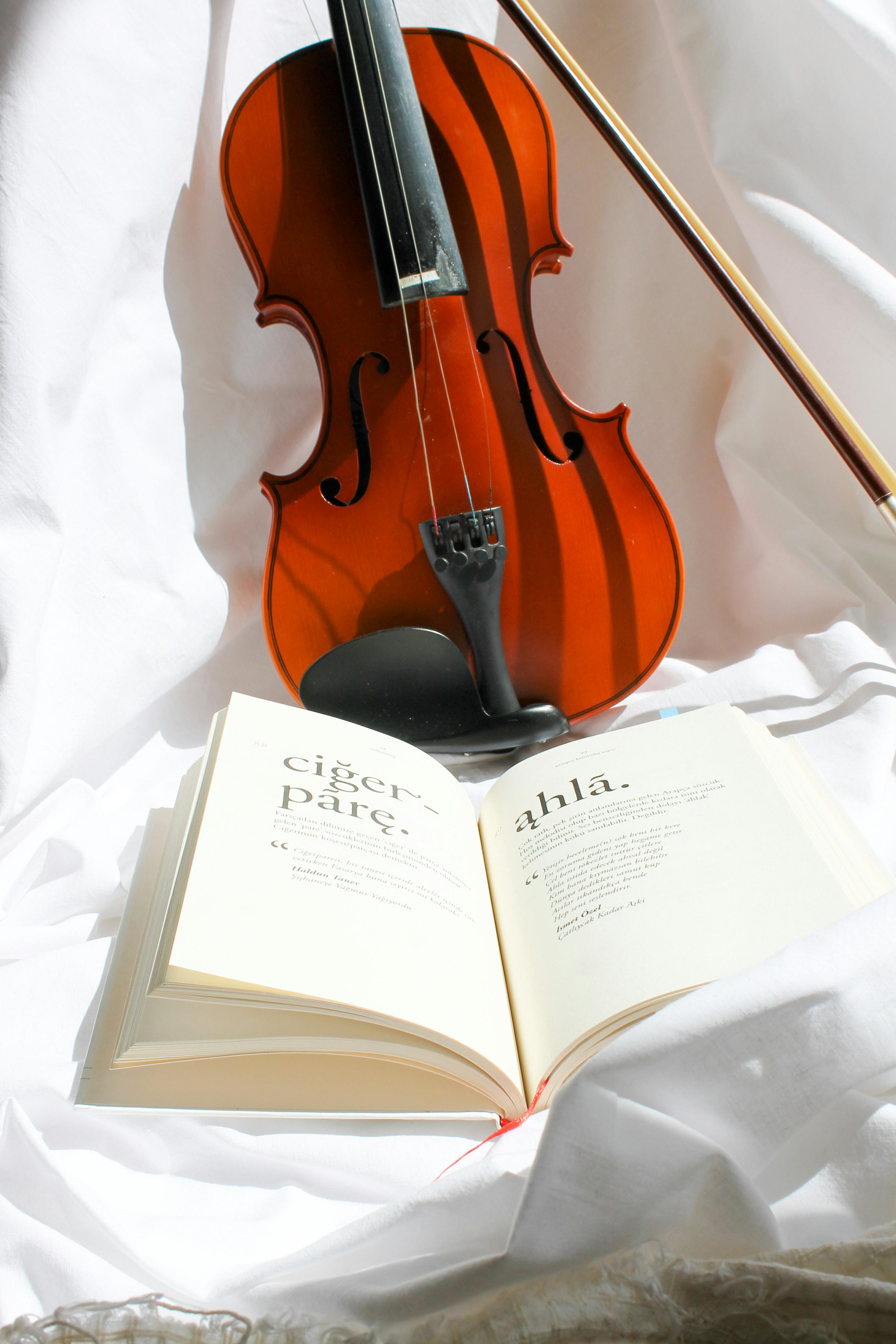 violin» 1080P, 2k, 4k HD wallpapers, backgrounds free download | Rare  Gallery