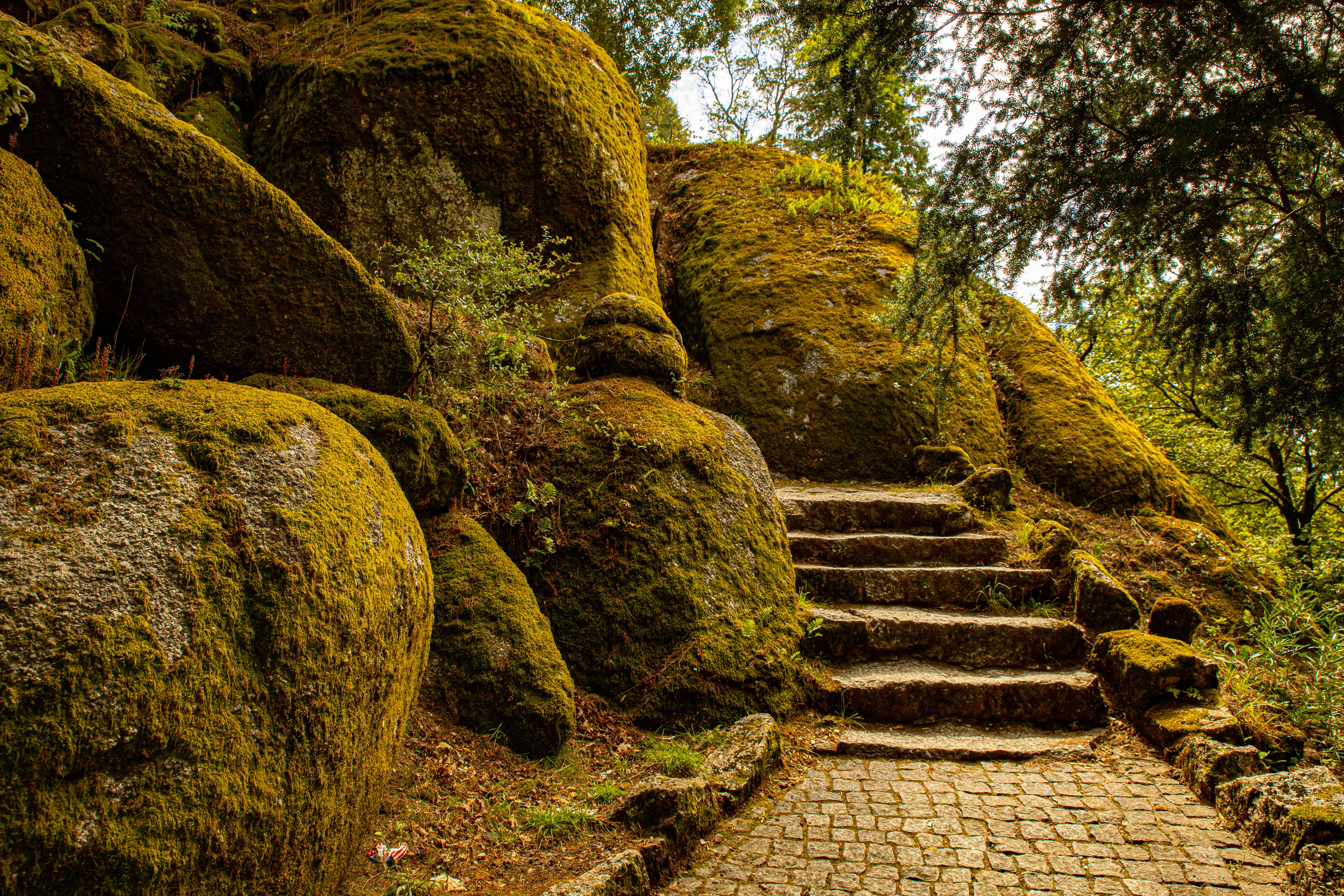 Big Mossy Rocks Near a Concrete Stairs · Free Stock Photo