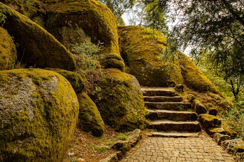 Big Mossy Rocks Near a Concrete Stairs