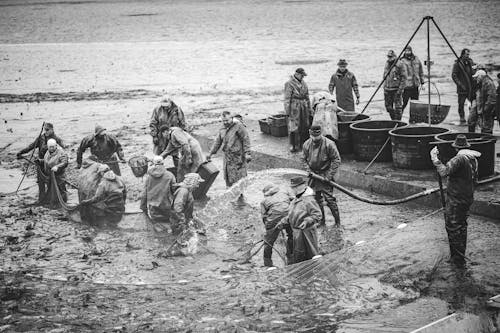 Grayscale Photo of Fishermen Holding a Giant Net