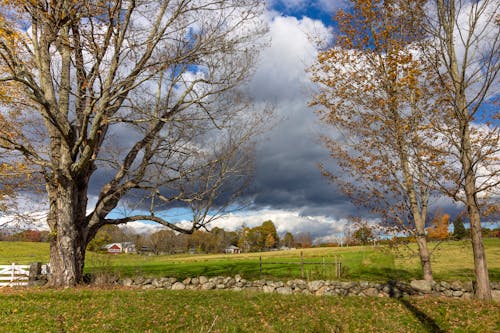 Fotobanka s bezplatnými fotkami na tému jeseň, krajina, mraky