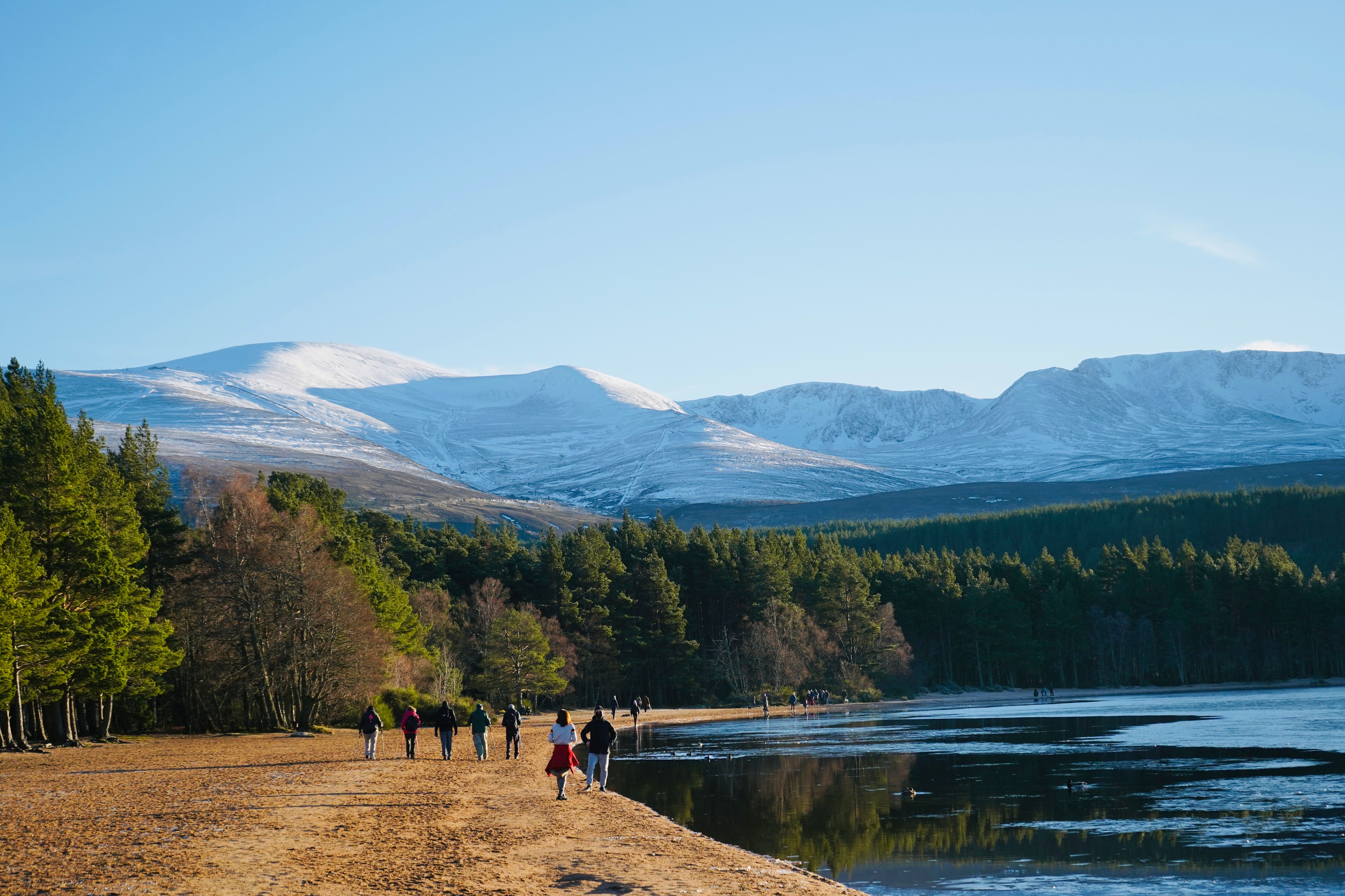 Tours, activities & tickets in Aviemore