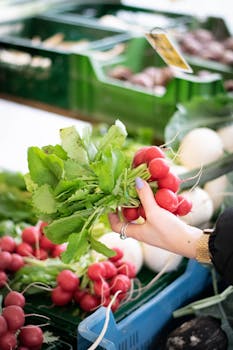 Close-up of radishes in a hand at a vibrant farmer's market in Mainz.