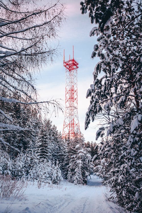 Red Tower Surrounded by Snow Covered Trees
