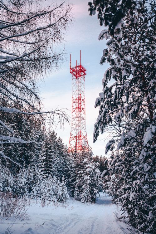 Free A red antenna tower rises above a snow-covered forest in winter, surrounded by white trees. Stock Photo