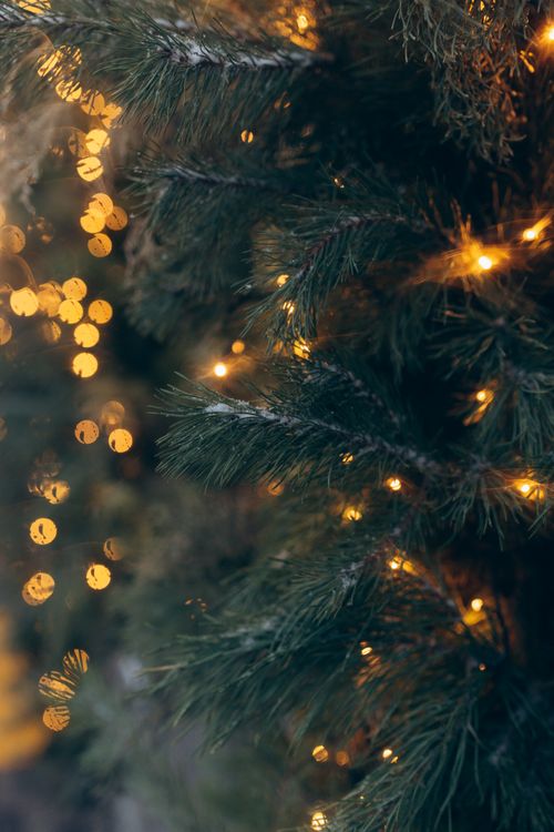 Free Beautiful close-up of a Christmas tree adorned with warm glowing lights. Stock Photo