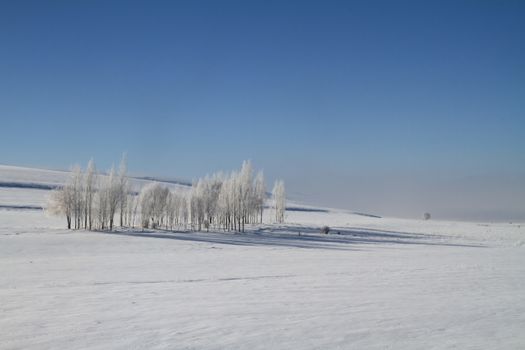 Tranquil winter scene featuring leafless trees on a snowy landscape under a clear blue sky.