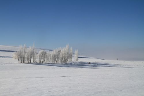 Free Tranquil winter scene featuring leafless trees on a snowy landscape under a clear blue sky. Stock Photo