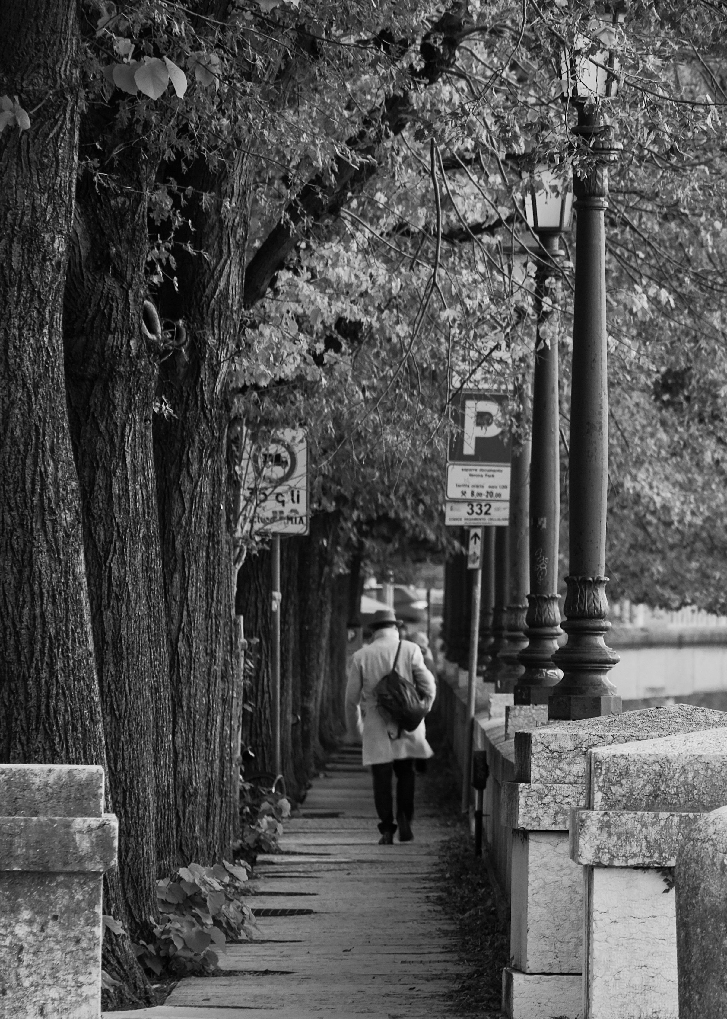 Grayscale Photo of Person Walking on Sidewalk · Free Stock Photo
