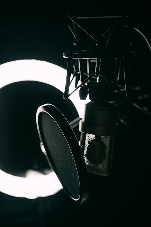 Free Close-Up Shot of a Condenser Microphone Stock Photo
