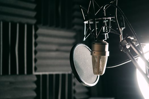 Close-up of a condenser microphone and pop filter in a soundproof studio setting.