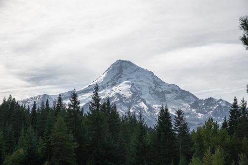 Free Breathtaking view of a snowcapped mountain in Montana, USA, surrounded by a lush evergreen forest. Stock Photo
