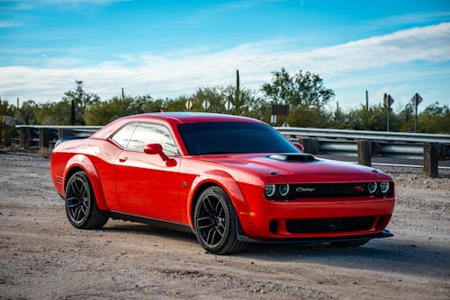 Free Red Chevrolet Camaro on Road Stock Photo