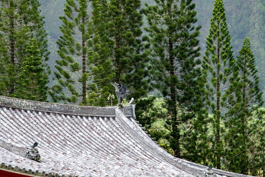 Elegant temple roof adorned with sculptures against a lush pine forest background.