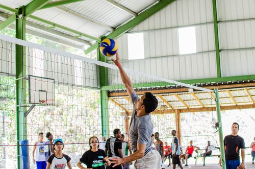 Free Dynamic action shot of players engaged in a competitive indoor volleyball game. Stock Photo