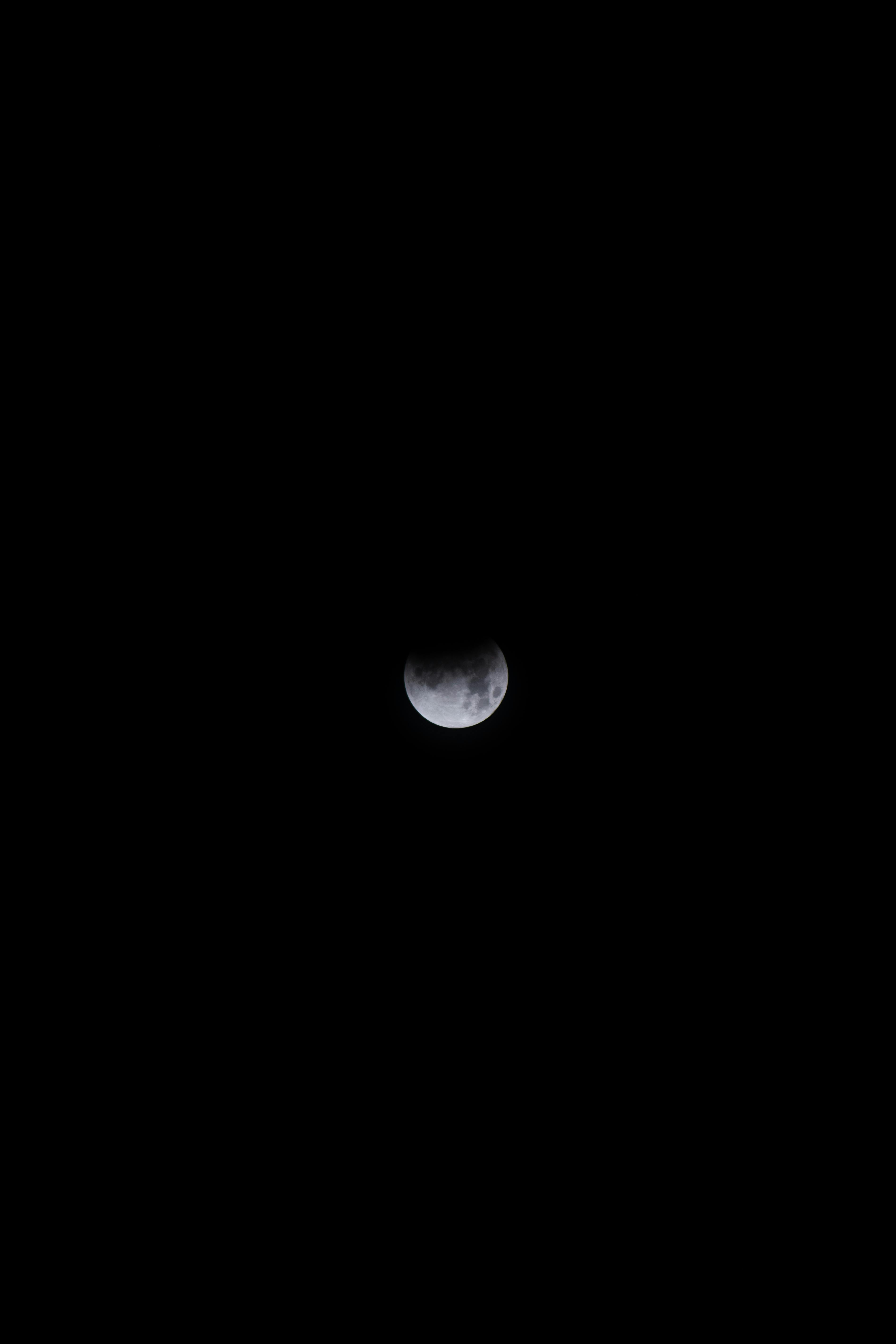 A mesmerizing partial lunar eclipse set against a dark night sky, showcasing celestial beauty.