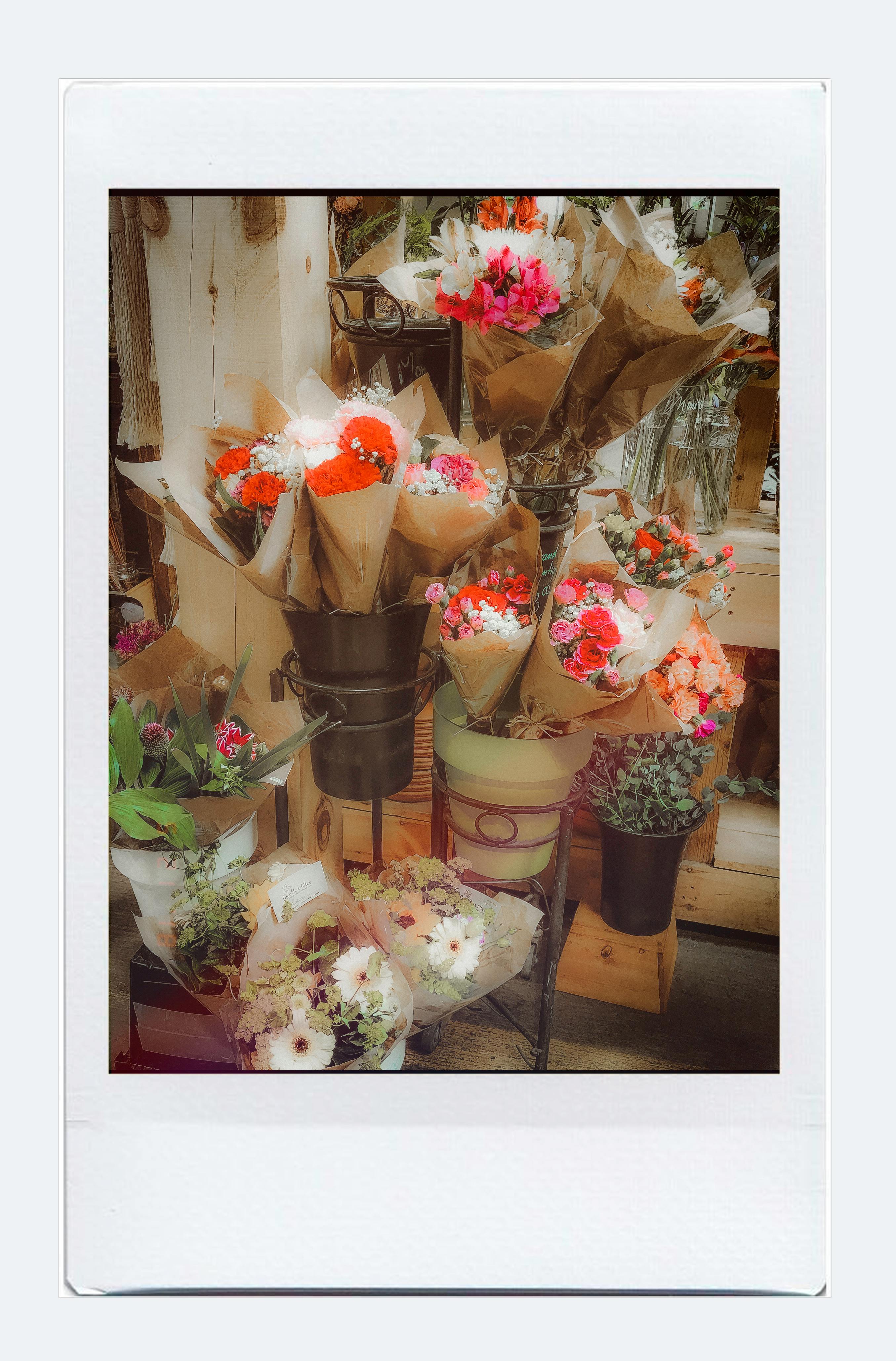 Free stock photo of analog photography, beautiful, colorful