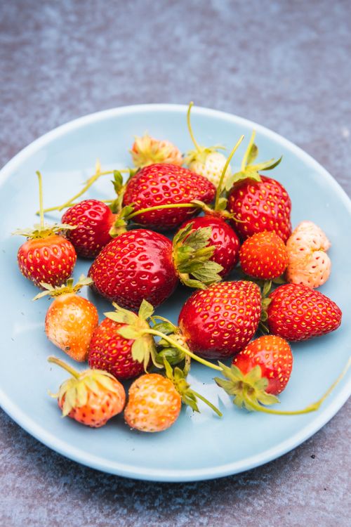 Free A vibrant display of fresh strawberries on a blue plate, perfect for healthy eating visuals. Stock Photo