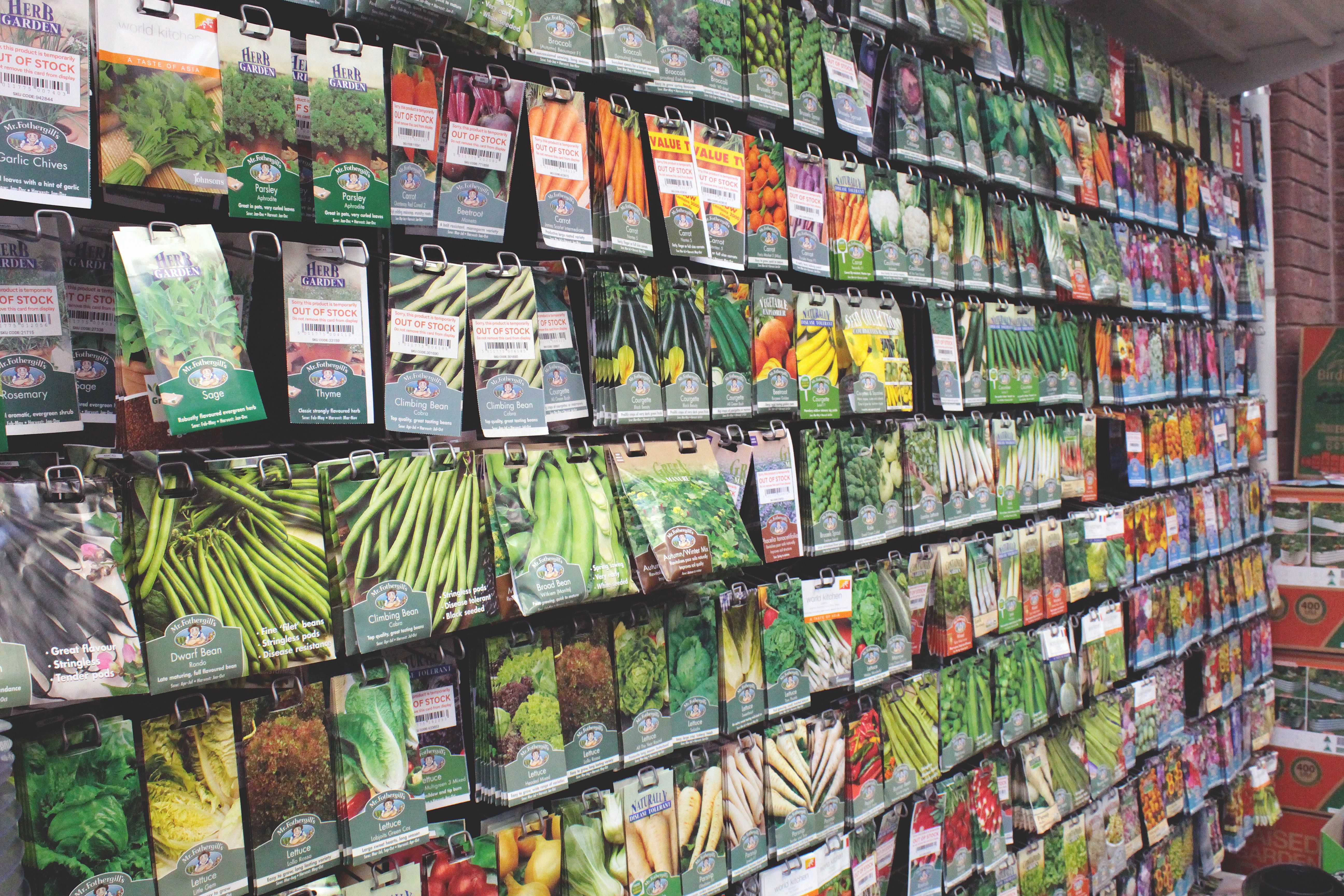 Euroseeds Магазин Семян