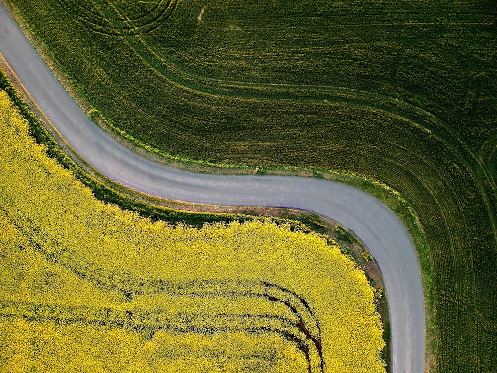 Free Aerial Photography of Country Road Between Green Grass Field Stock Photo