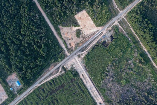 鸟瞰图展示了十字路口穿过茂密森林的景象