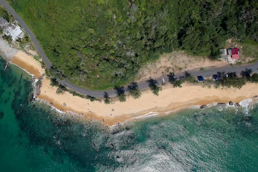 Stunning aerial view showcasing a tranquil beach lined with vibrant green vegetation and clear ocean waters.