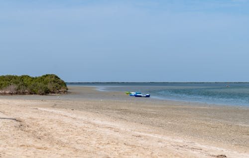 Foto profissional grátis de água, ao ar livre, areia