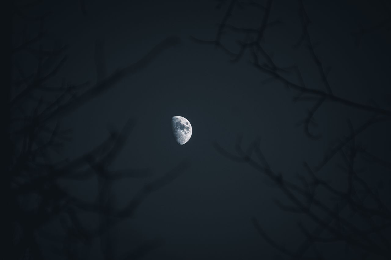 a half moon shines bright through dark tree branches during a serene n