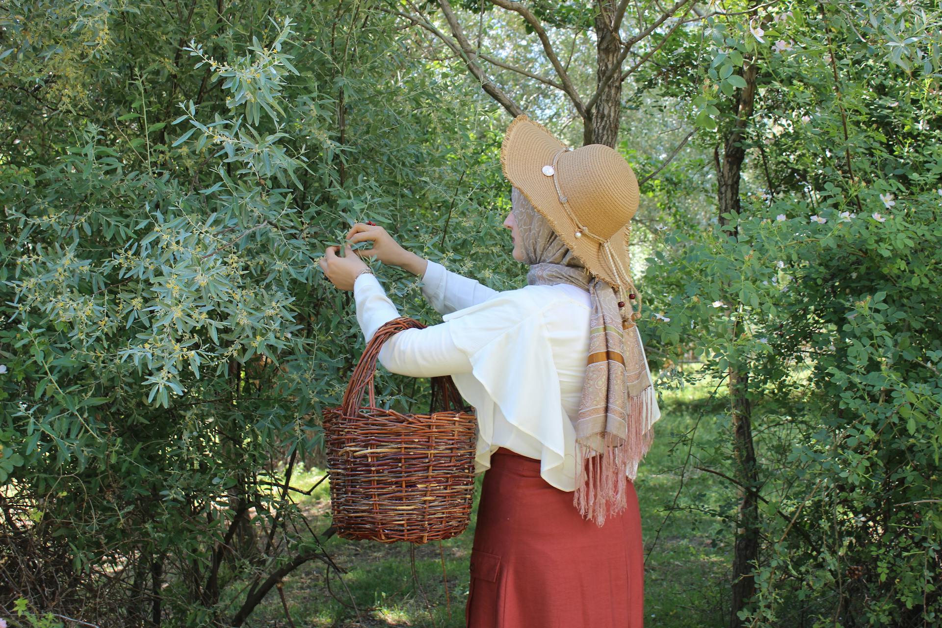 Woman Picking Flowers on a Plant