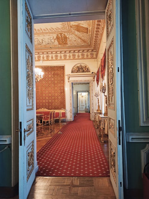Red and Brown Hallway With Brown Carpet