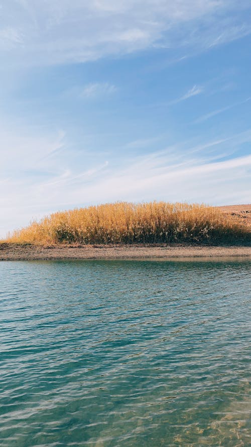 Calm Water on the River Near Brown Grasses Under Blue Sky