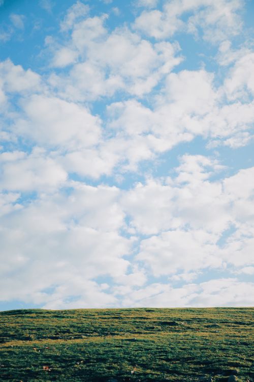 Free Serene landscape capturing a green field under a bright blue sky speckled with fluffy clouds. Stock Photo