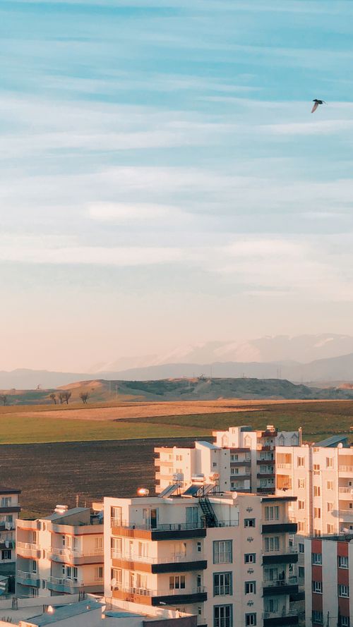 Free A bird flying above residential buildings with a scenic landscape backdrop at dusk. Stock Photo