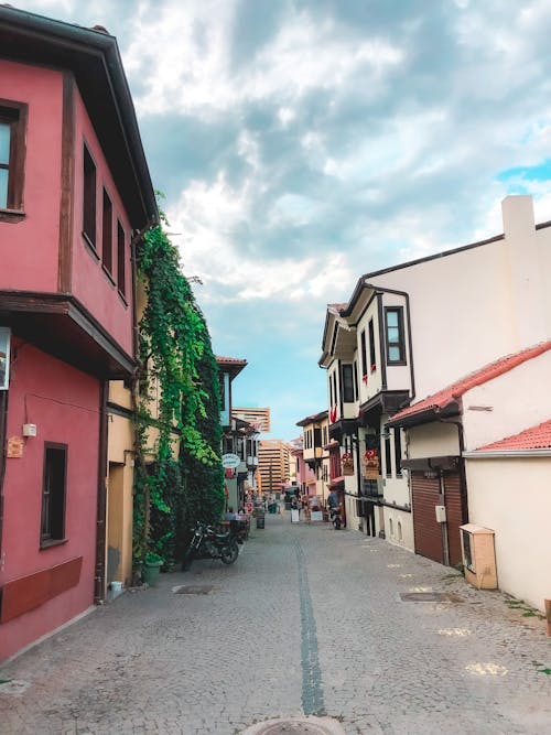 A Street between Houses in the Village