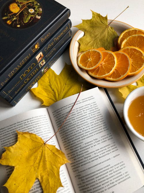 Foto d'estoc gratuïta de fulles d'auró, llibres, natura morta