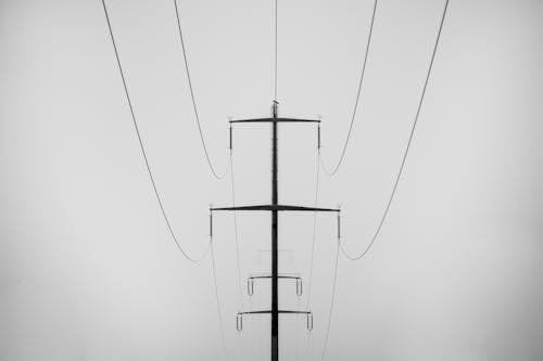 Foto d'estoc gratuïta de escala de grisos, línies elèctriques, monocrom